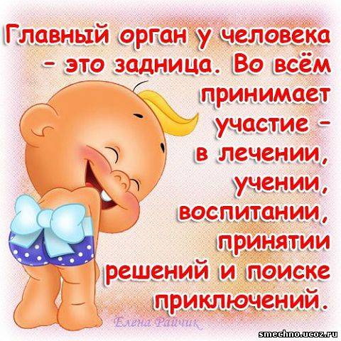 Лучшие открытки с приколом 329